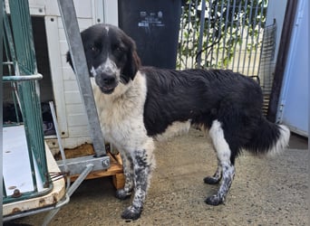 Teresa: gemeinsam schaffen wir es