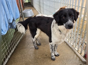 Teresa: gemeinsam schaffen wir es