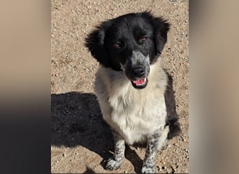 Teresa: gemeinsam schaffen wir es