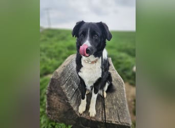 ZARA sucht ihr Glück ❤️