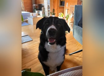 Zara sucht ihre Herzmenschen ❤️