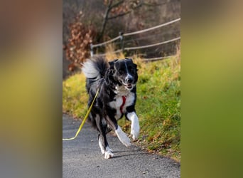 Zara sucht ihre Herzmenschen ❤️