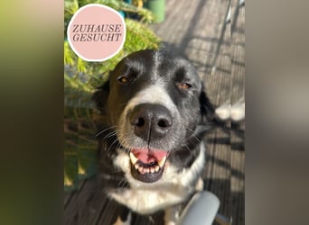 Zara sucht ihre Herzmenschen ❤️