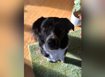 Zara sucht ihre Herzmenschen ❤️