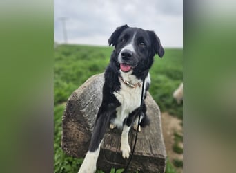 ZARA sucht ihr Glück ❤️