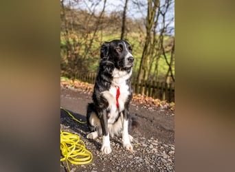 Zara sucht ihre Herzmenschen ❤️