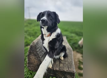 ZARA sucht ihr Glück ❤️