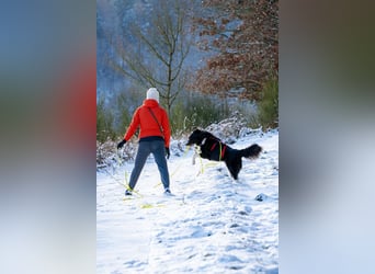 Zara sucht ihre Herzmenschen ❤️