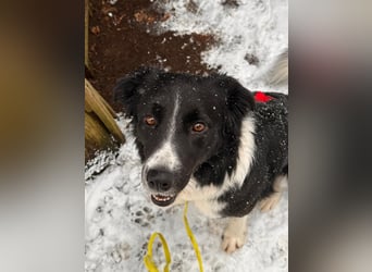 Zara sucht ihre Herzmenschen ❤️