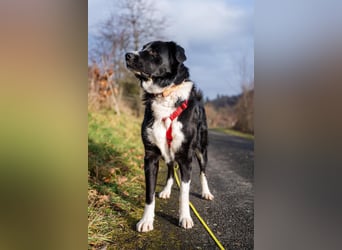 Zara sucht ihre Herzmenschen ❤️