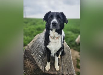 ZARA sucht ihr Glück ❤️