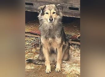 Gemeinsames Zuhause gesucht - Aponi & Chanel