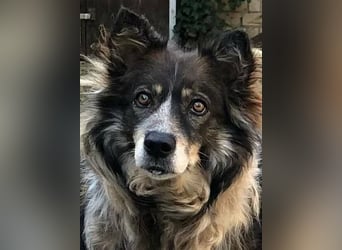 Gemeinsames Zuhause gesucht - Aponi & Chanel