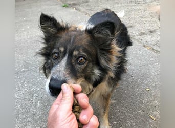 Gemeinsames Zuhause gesucht - Aponi & Chanel