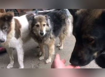 Gemeinsames Zuhause gesucht - Aponi & Chanel