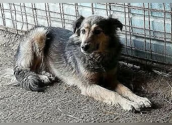 Gemeinsames Zuhause gesucht - Aponi & Chanel