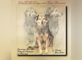 Gemeinsames Zuhause gesucht - Aponi & Chanel