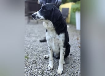 Coco der Liebevolle
