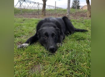 Lino ein Freund fürs Leben