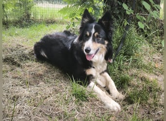 Luca