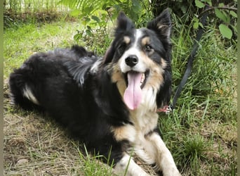 Luca