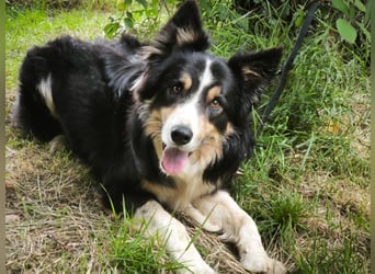 Luca