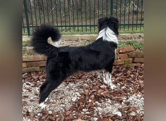 Linchen braucht ein richtiges Zuhause