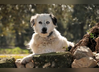 Wer schenkt Lolha die Chance, endlich anzukommen