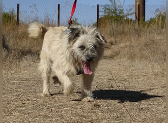 Clark sucht ein neues Zuhause