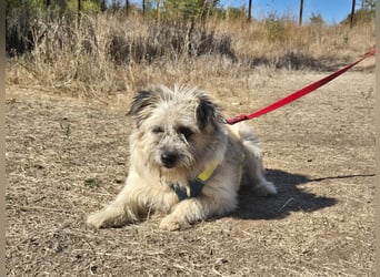 Clark sucht ein neues Zuhause