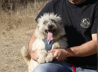 Clark sucht ein neues Zuhause