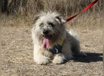 Clark sucht ein neues Zuhause