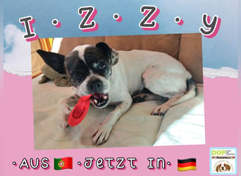 FROHNATUR ♦️I Z Z Y♦️ jetzt in Deutschland auf PFLEGESTELLE