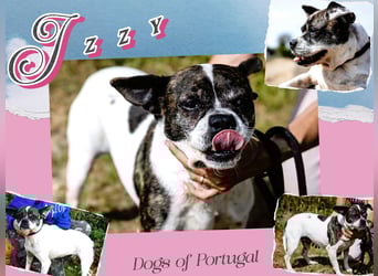 Super Freundlich und Unkompliziert | I Z Z Y |