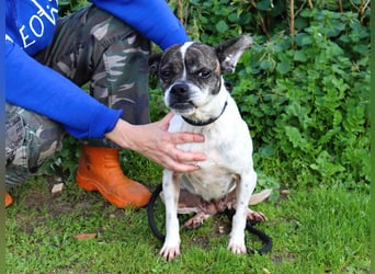 Super Freundlich und Unkompliziert | I Z Z Y |