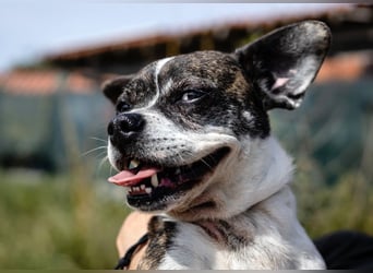 Super Freundlich und Unkompliziert | I Z Z Y |