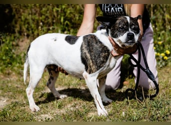 Super Freundlich und Unkompliziert | I Z Z Y |