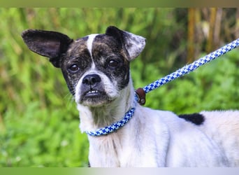 Super Freundlich und Unkompliziert | I Z Z Y |