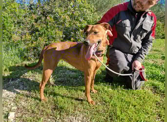 EMINA - intelligent und lernwillig