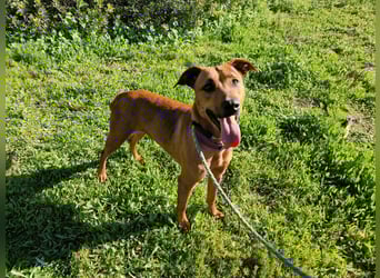 EMINA - intelligent und lernwillig