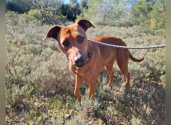 EMINA - intelligent und lernwillig