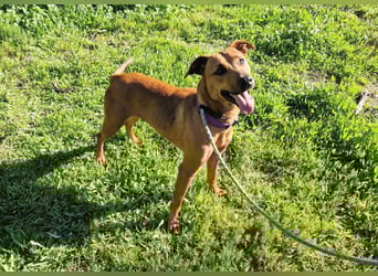 EMINA - intelligent und lernwillig