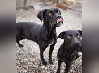 Debby eine richtige Knutschi-Mausi