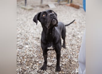 Debby eine richtige Knutschi-Mausi