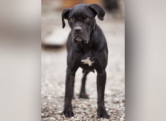 Debby eine richtige Knutschi-Mausi