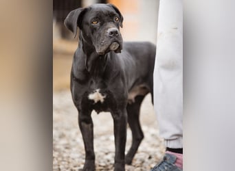 Debby eine richtige Knutschi-Mausi