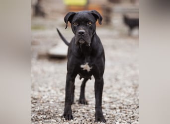 Debby eine richtige Knutschi-Mausi