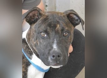 Aiko - Zwei Brüder auf der Suche nach Geborgenheit