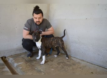 Aiko - Zwei Brüder auf der Suche nach Geborgenheit
