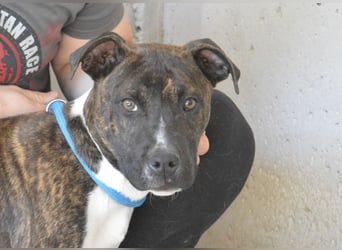 Aiko - Zwei Brüder auf der Suche nach Geborgenheit